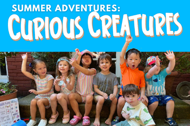Summer Adventures – Curious Creatures (Ages 3-4)