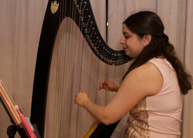 Musician playing the harp 